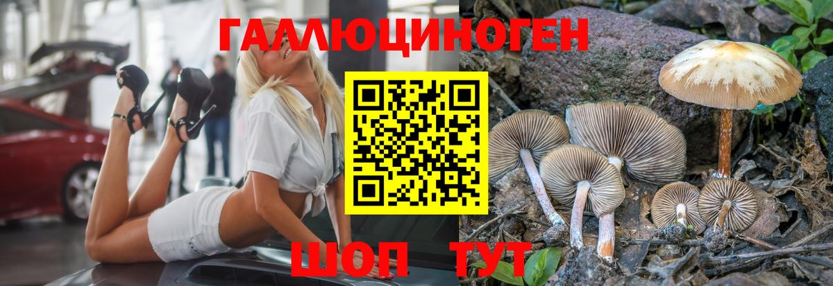 Галлюциногенные грибы Magic Shrooms  Вход с VPN  Воркута 